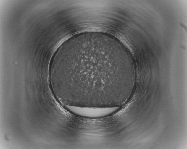 X0000098010845200804111231