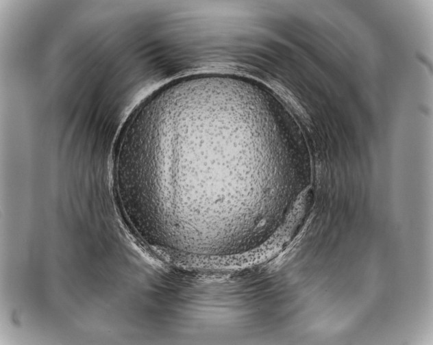 X0000098010846200804111231