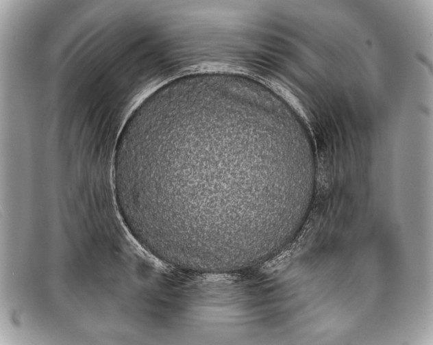 X0000098010847200804111231