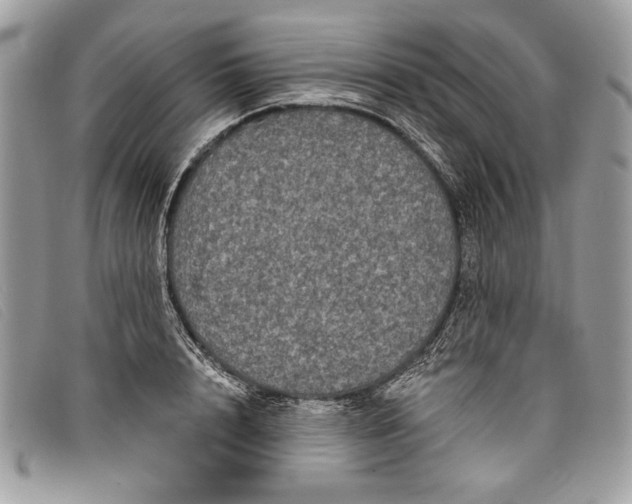 X0000098010848200804111231