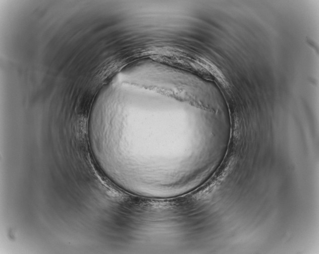 X0000098010849200804111231