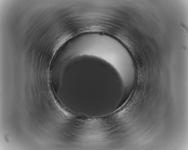 X0000098010850200804111231