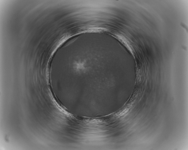 X0000098010851200804111231