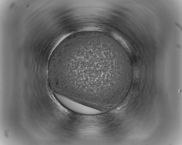 X0000098010852200804111231