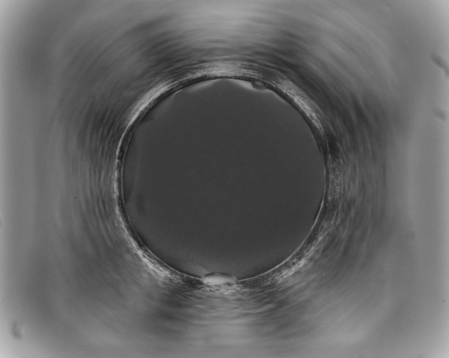 X0000098010853200804111231