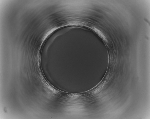 X0000098010854200804111231