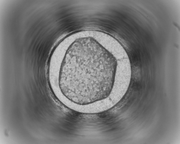 X0000098010856200804111231