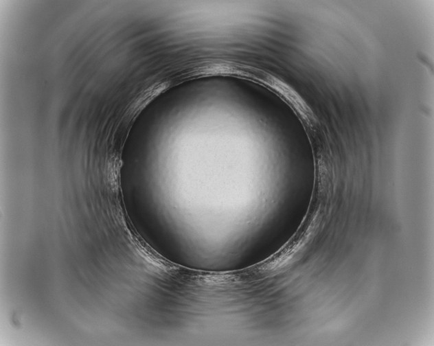 X0000098010857200804111231