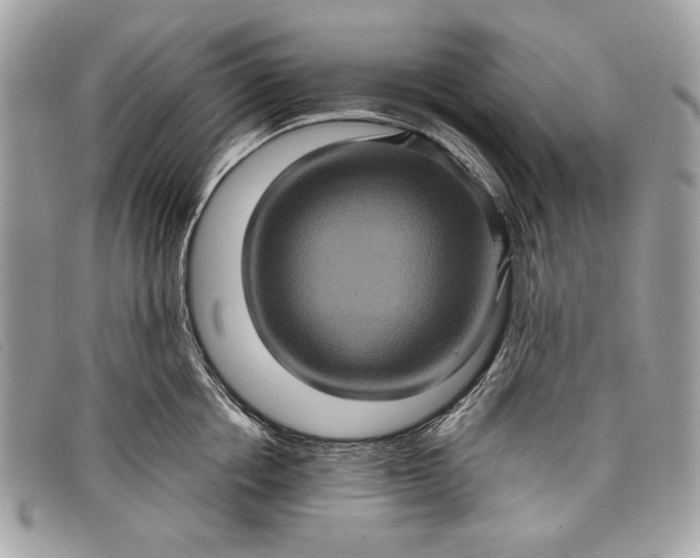 X0000098010858200804111231