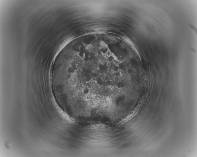 X0000098010859200804111231