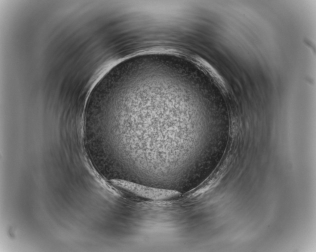 X0000098010860200804111231