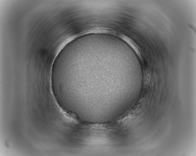 X0000098010861200804111231