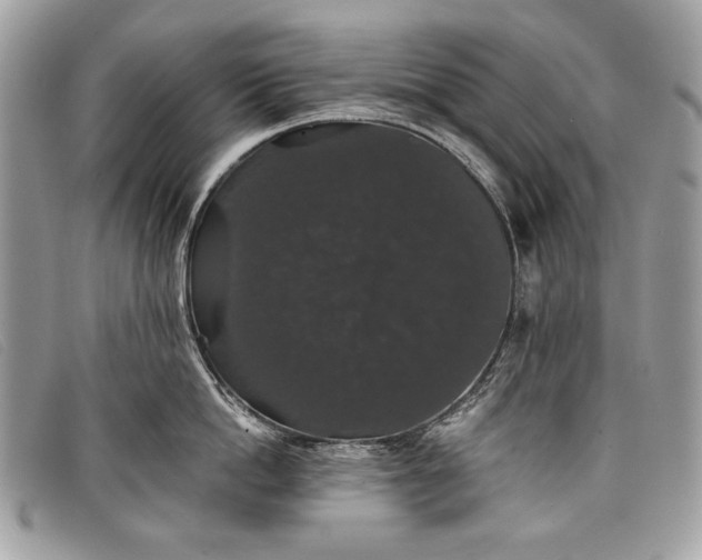 X0000098010862200804111231