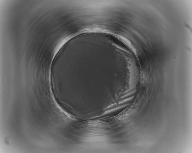 X0000098010863200804111231