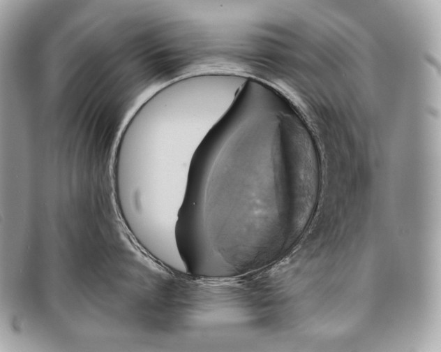 X0000098010864200804111231