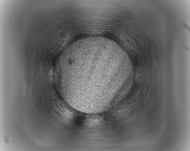 X0000098010866200804111230