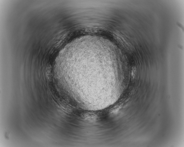 X0000098010867200804111230