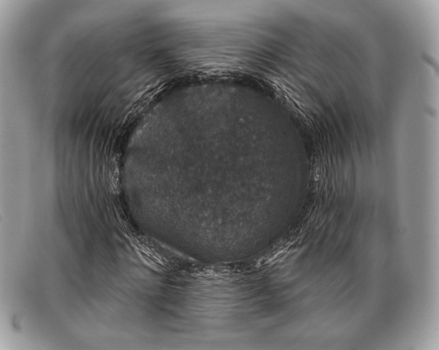 X0000098010868200804111230