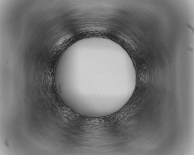 X0000098010869200804111230