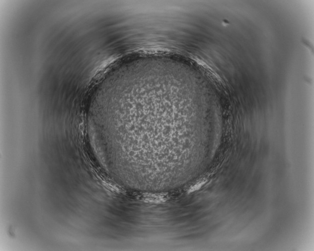 X0000098010870200804111230