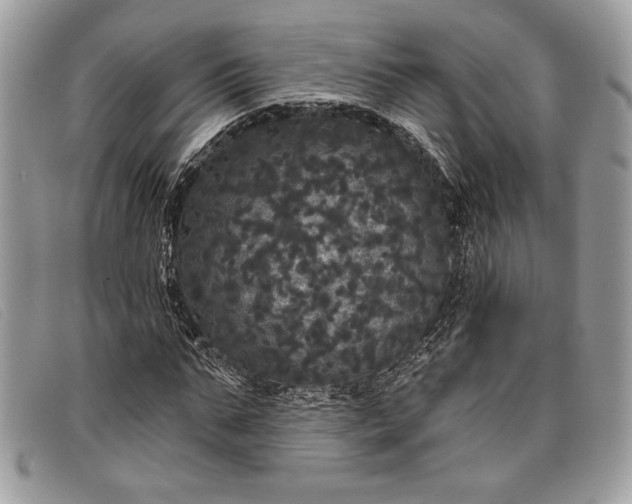 X0000098010871200804111230