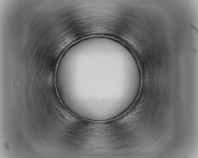 X0000098010873200804111230