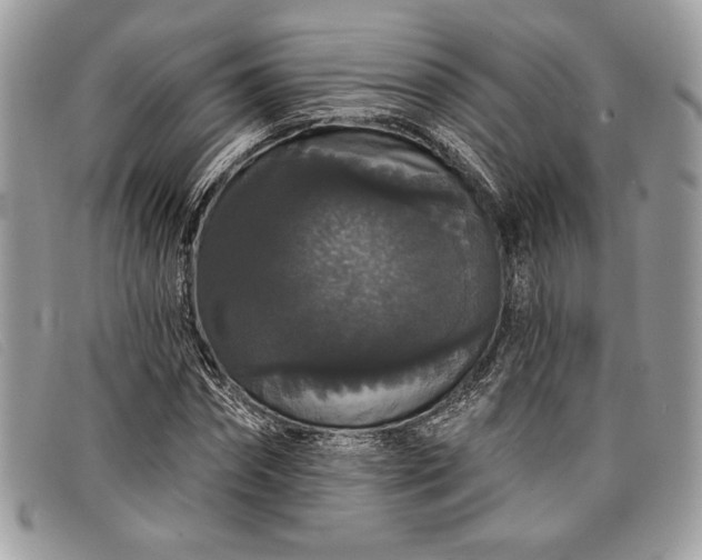 X0000098010874200804111230