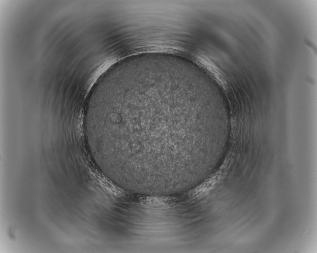 X0000098010875200804111230