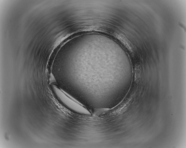 X0000098010876200804111230