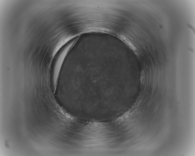 X0000098010877200804111230