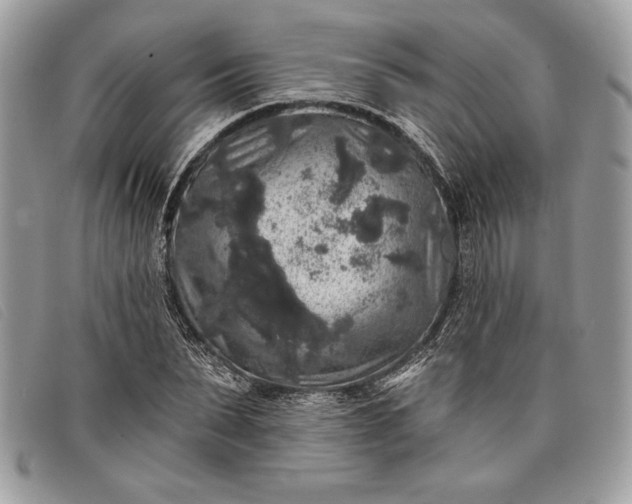 X0000098010879200804111230