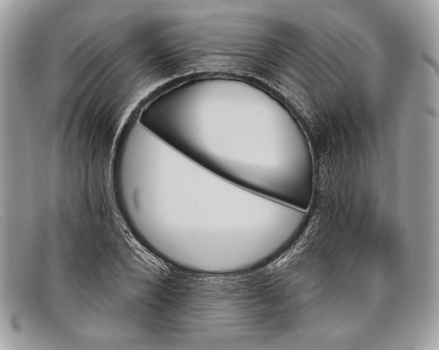 X0000098010880200804111230