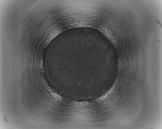 X0000098010881200804111230