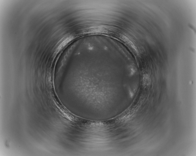 X0000098010882200804111230