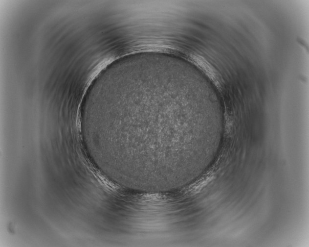 X0000098010883200804111230