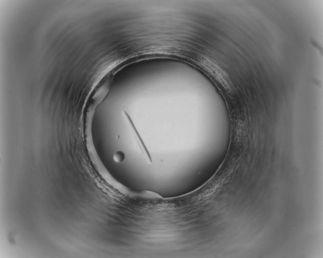 X0000098010884200804111230