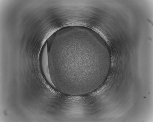 X0000098010885200804111230