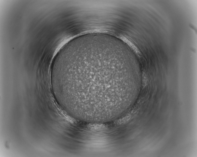 X0000098010886200804111230