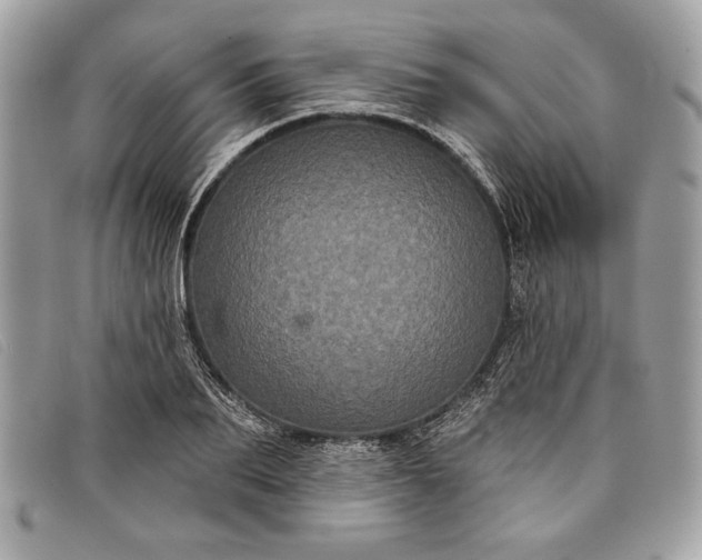 X0000098010887200804111230