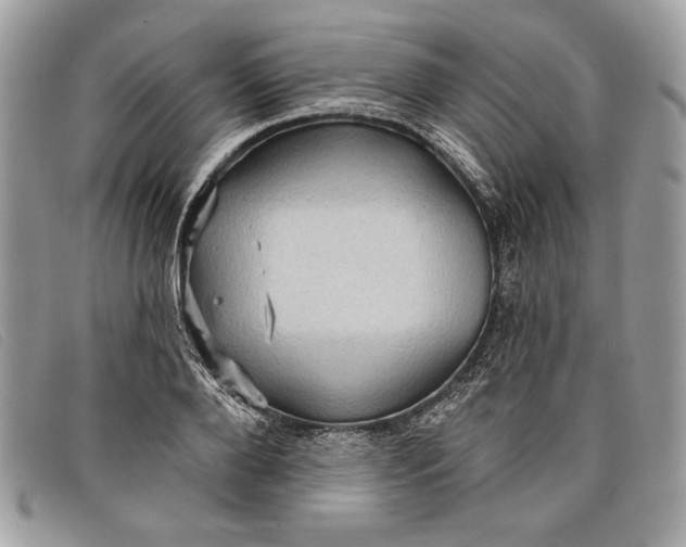 X0000098010888200804111230