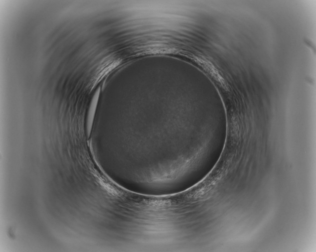 X0000098010889200804111230