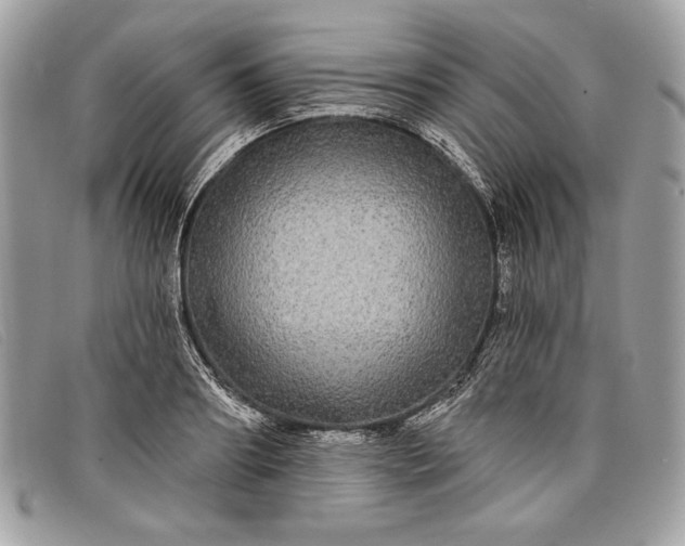 X0000098010890200804111230