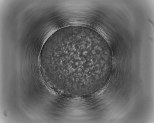 X0000098010891200804111230