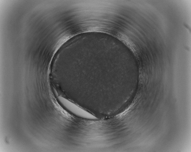 X0000098010892200804111230