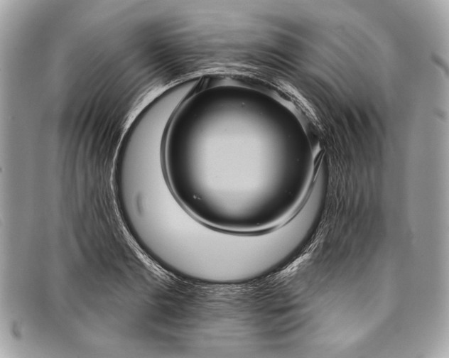 X0000098010893200804111230