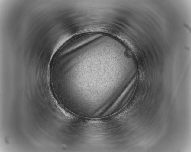 X0000098010894200804111230