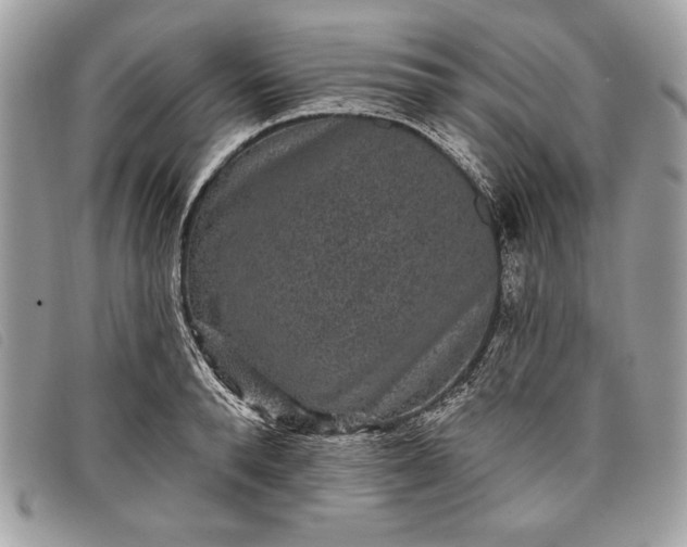 X0000098010896200804111230