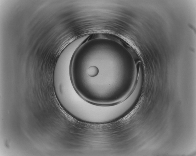 X0000098010897200804111230