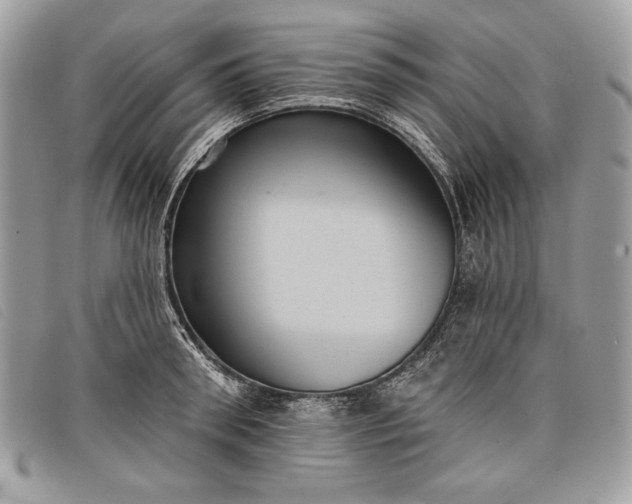 X0000098010898200804111230