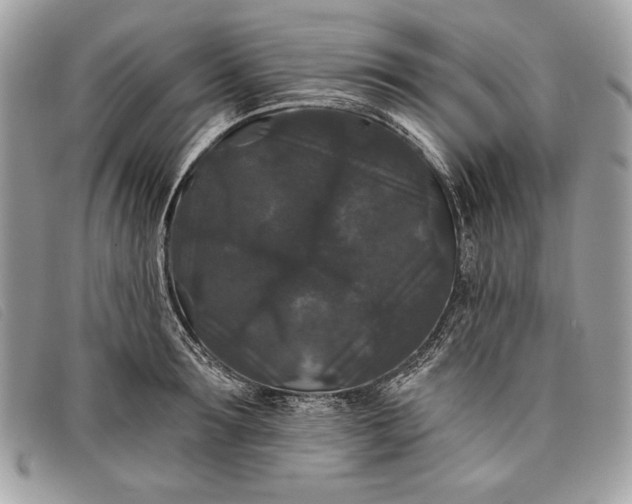 X0000098010899200804111230